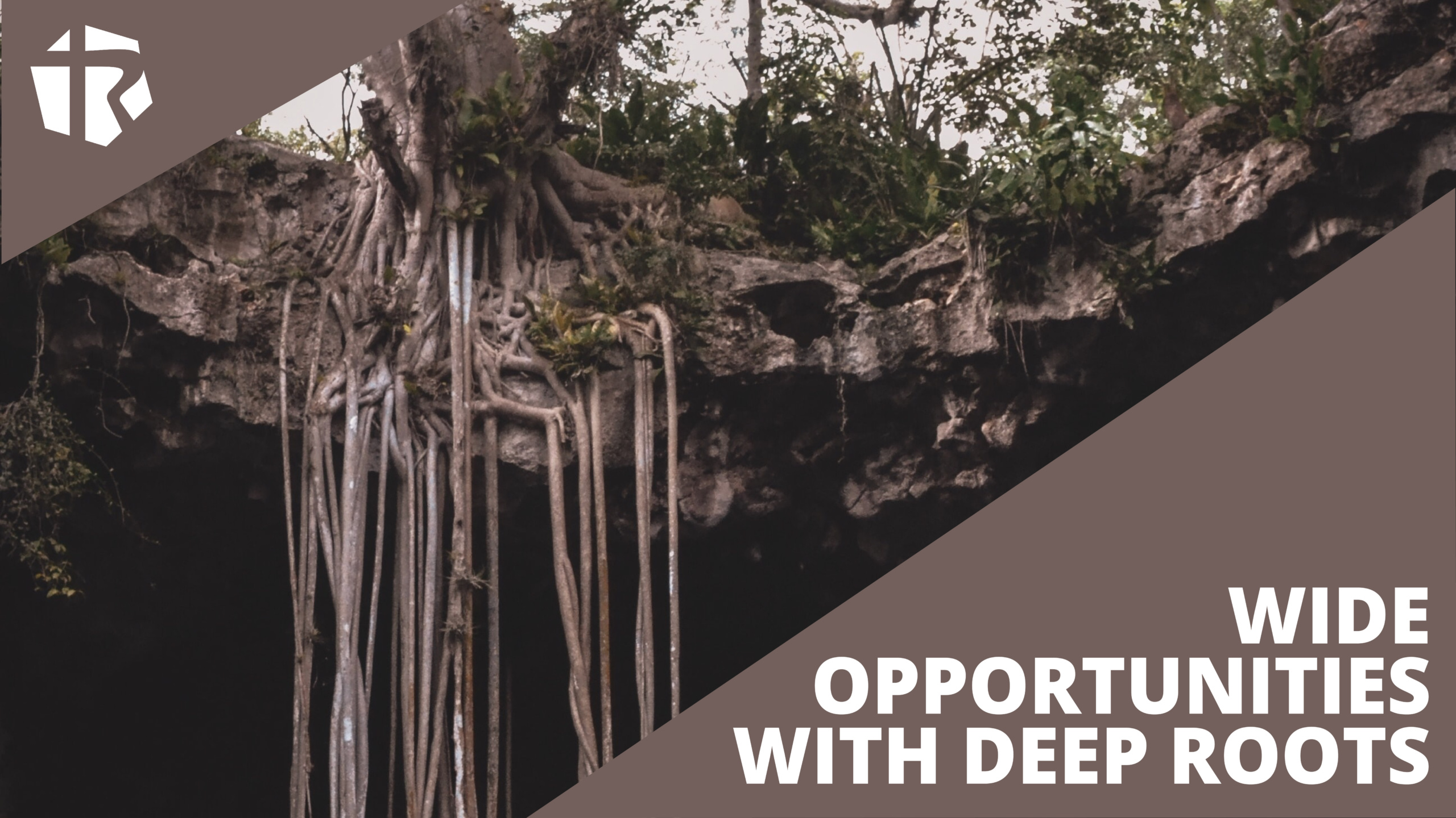 wide opportunities with deep roots